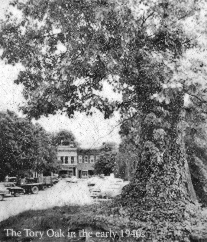 Marker detail: The Tory Oak in the early 1940s image. Click for full size.