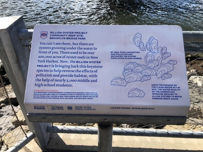 Billion Oyster Project Community Reef Site: Brooklyn Bridge Park Marker image. Click for full size.