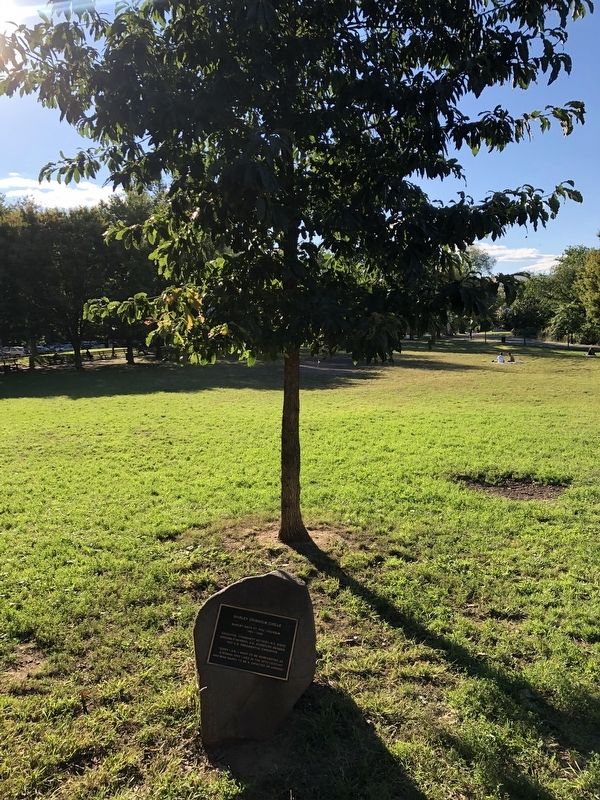 Shirley Chisholm Circle Marker. Click for full size. Shirley Chisholm Circle Marker image. Click for full size.