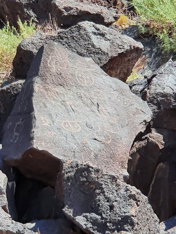 Petroglyphs near the Piedras Marcadas Trail Marker #1 image. Click for full size.
