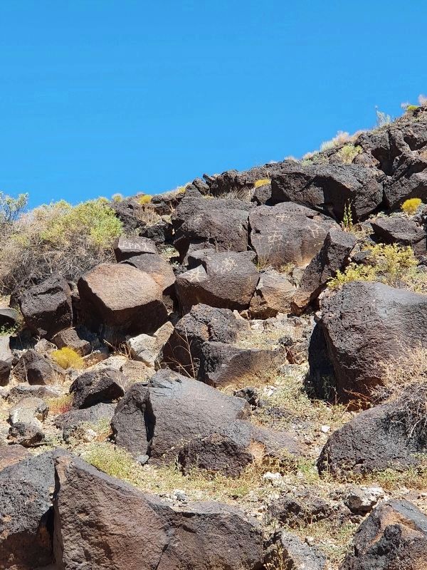 Petroglyphs near Piedras Marcadas Trail Marker #2. Click for full size. Petroglyphs near Piedras Marcadas Trail Marker #2 image. Click for full size.