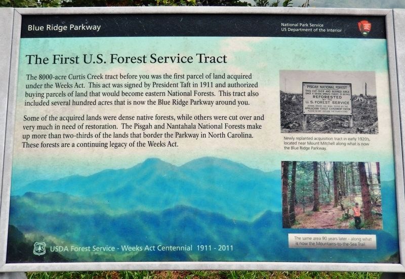 First U.S. Forest Service Tract Marker image. Click for full size.