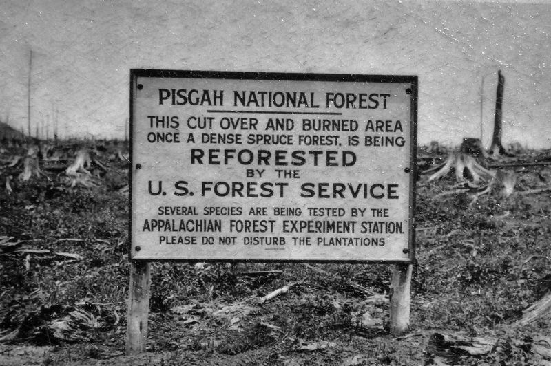 Marker detail: U.S. Forest Service Sign image. Click for full size.
