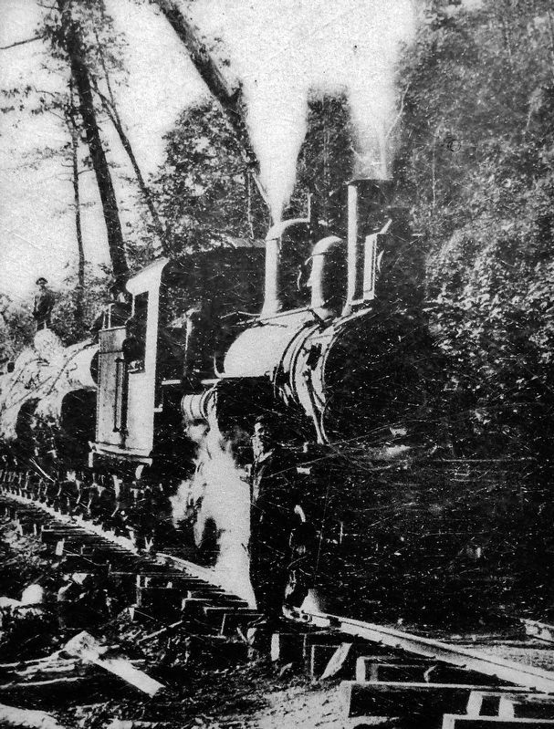 Marker detail: Logging Railroad image. Click for full size.