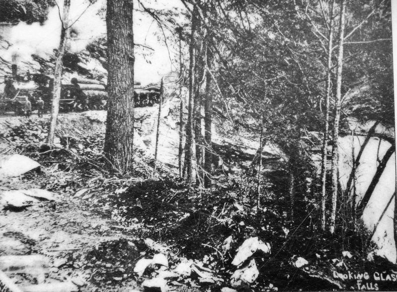 Marker detail: Logging Railroad near Looking Glass Falls image. Click for full size.