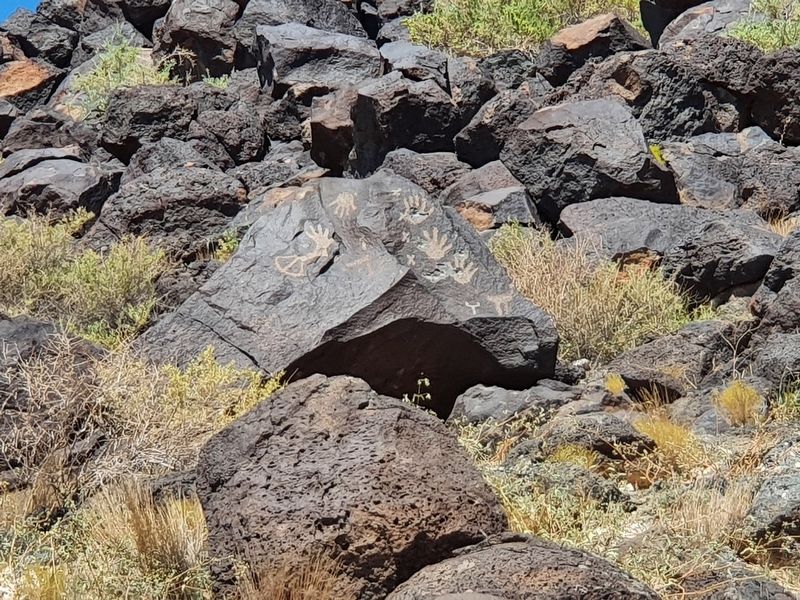 Petroglyphs near the Piedras Marcadas Trail Marker #4. Click for full size. Petroglyphs near the Piedras Marcadas Trail Marker #4 image. Click for full size.