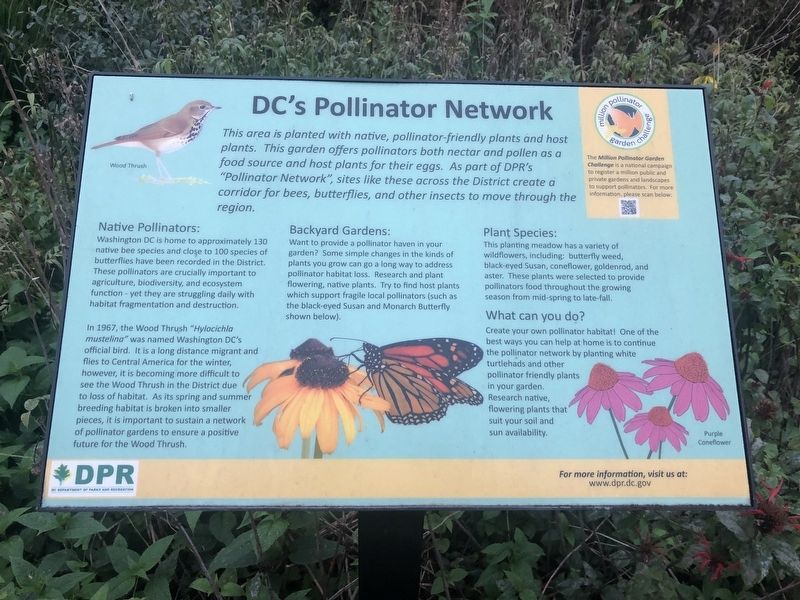 DC's Pollinator Network Marker. Click for full size. DC's Pollinator Network Marker image. Click for full size.