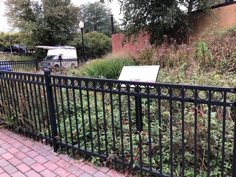 DC's Pollinator Network Marker. Click for full size. DC's Pollinator Network Marker image. Click for full size.