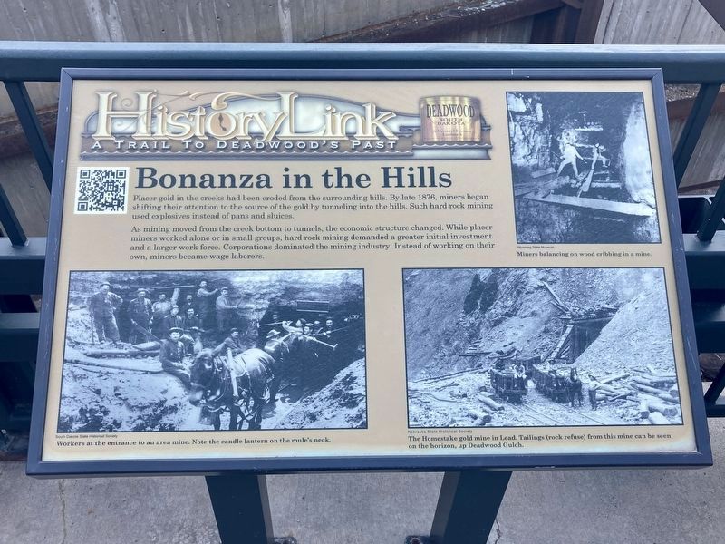 Bonanza in the Hills Marker (replacement marker) image. Click for full size.