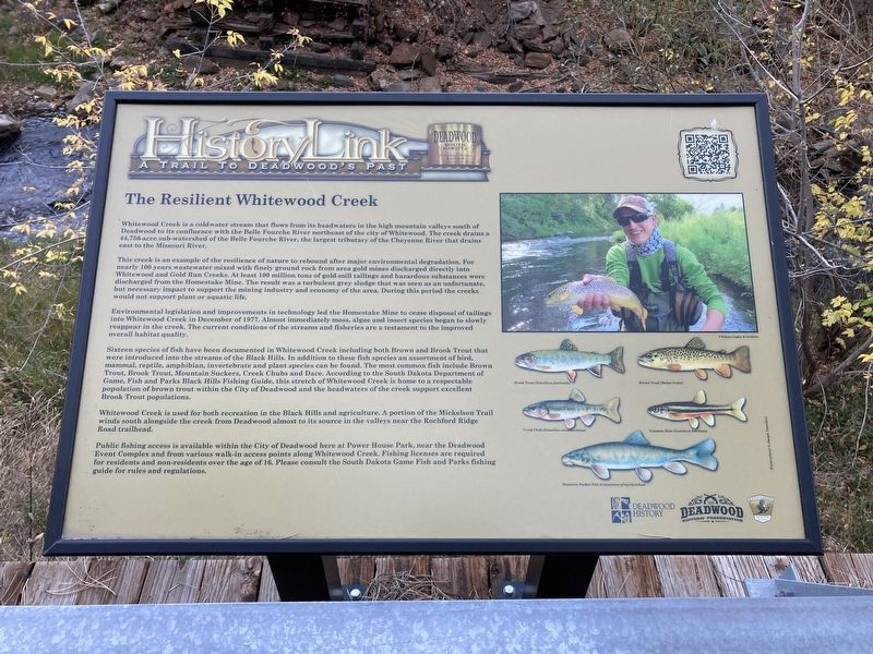 The Resilient Whitewood Creek Marker image. Click for full size.