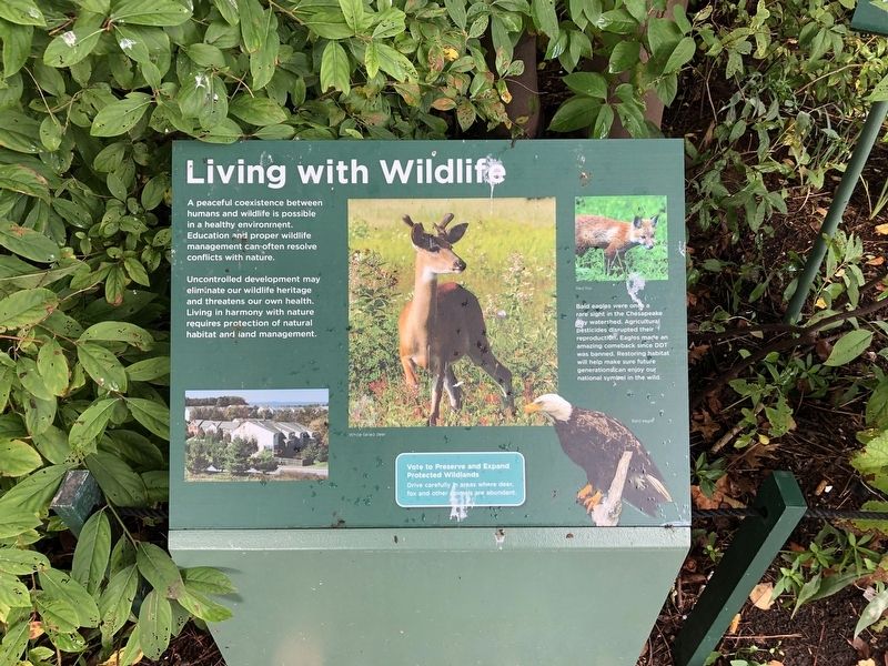 Living with Wildlife Marker image. Click for full size.