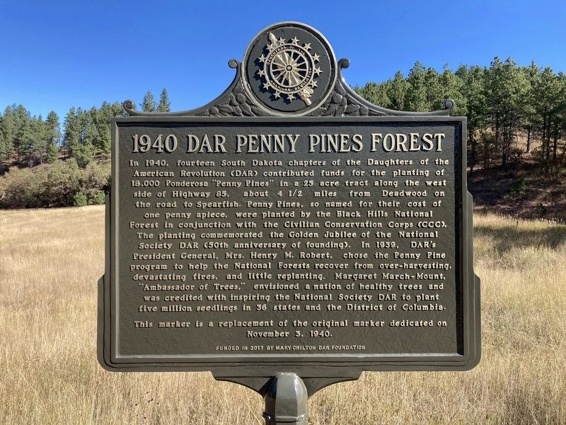 1940 DAR Penny Pines Forest Marker image. Click for full size.