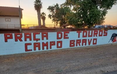 Campo Bravo Arena Mural image. Click for full size.
