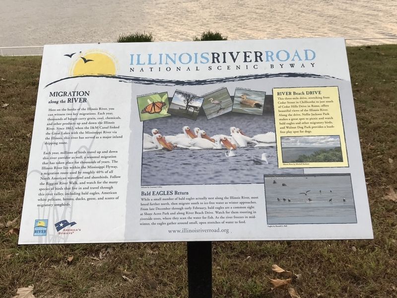 Illinois River Road Marker image. Click for full size.