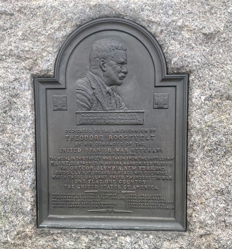 Theodore Roosevelt Memorial image. Click for full size.