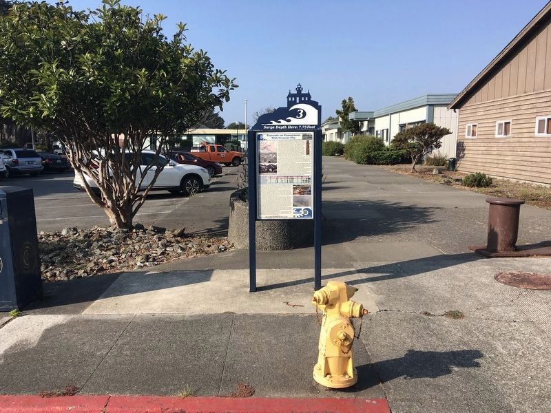 Tsunamis Marker image. Click for full size.
