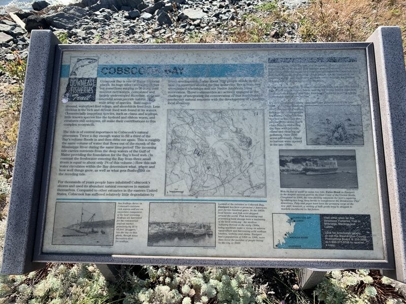 Cobscook Bay Marker image. Click for full size.