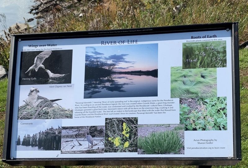 River of Life Marker. Click for full size. River of Life Marker image. Click for full size.