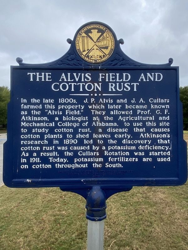 The Alvis Field and Cotton Rust Marker image. Click for full size.