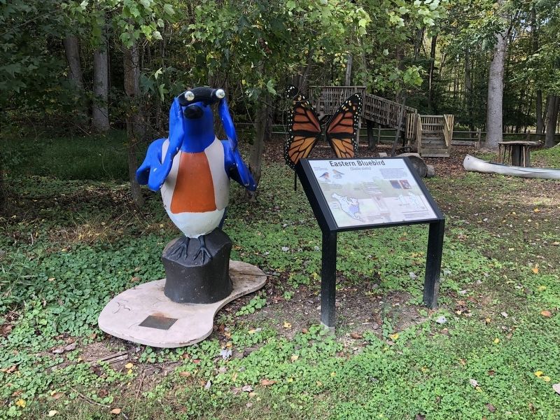 Eastern Bluebird marker and nearby statue image. Click for full size.