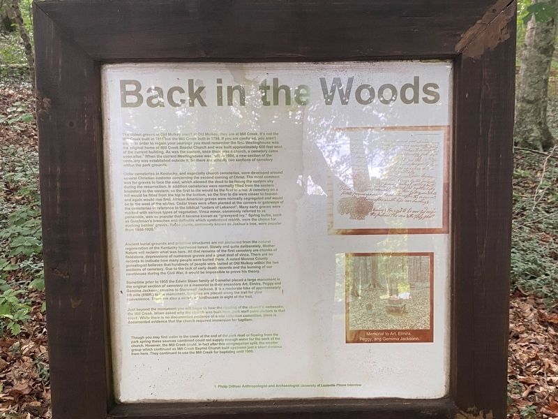 Back in the Woods Marker image. Click for full size.