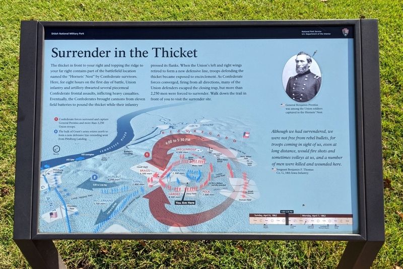 Surrender in the Thicket Marker image. Click for full size.