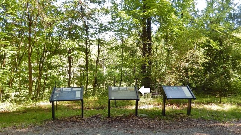 A Narrow-Gauge Railroad Marker image. Click for full size.