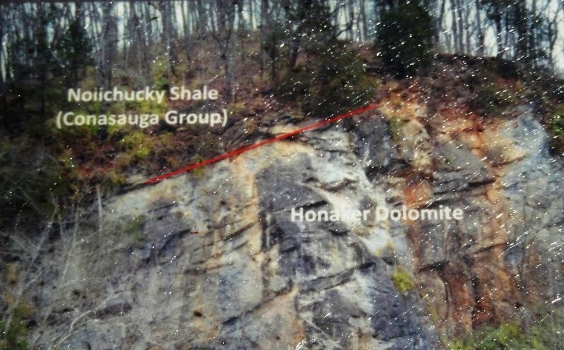 Marker detail: Honaker Dolomite in Quarry Wall image. Click for full size.