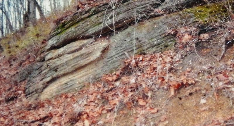 Marker detail: Weathered chips of the Nolichucky Shale image. Click for full size.