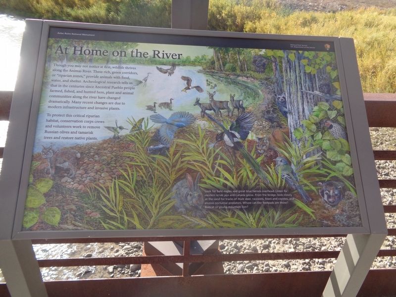 At Home on the River Marker image. Click for full size.