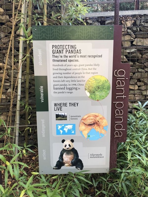 Giant Panda Marker image. Click for full size.