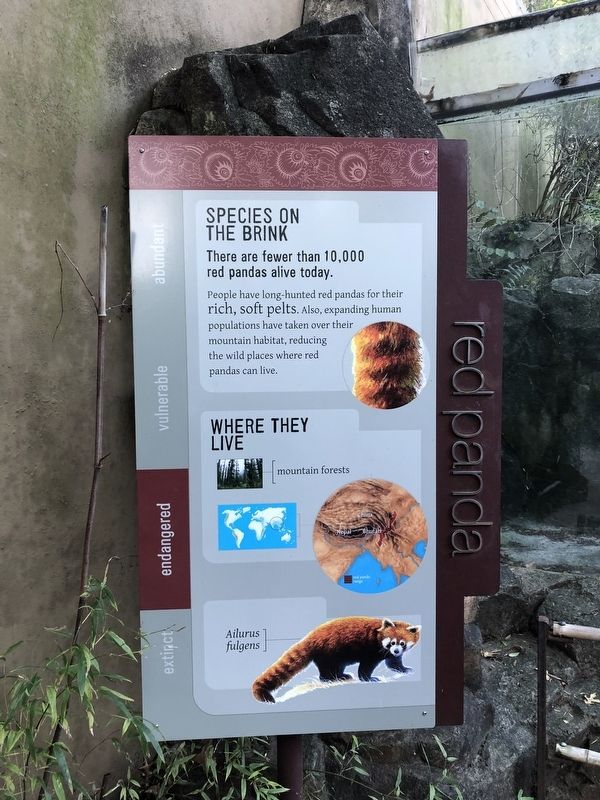 Red Pandas Marker image. Click for full size.