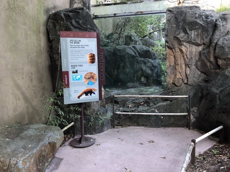 Red Pandas Marker image. Click for full size.