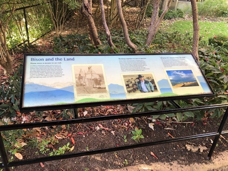 Bison and the Land Marker image. Click for full size.