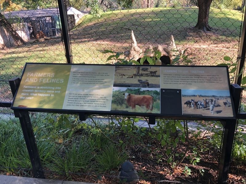 Farmers and Felines Marker image. Click for full size.