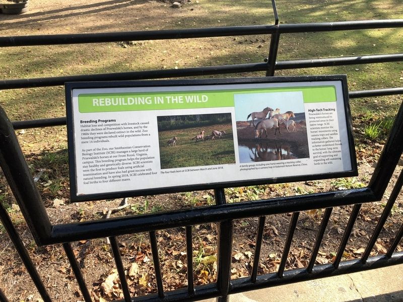 Rebuilding in the Wild Marker image. Click for full size.