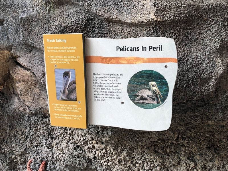 Pelicans in Peril Marker image. Click for full size.