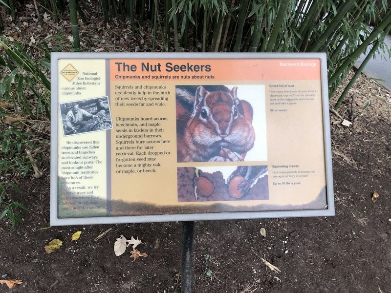 The Nut Seekers Marker. Click for full size. The Nut Seekers Marker image. Click for full size.