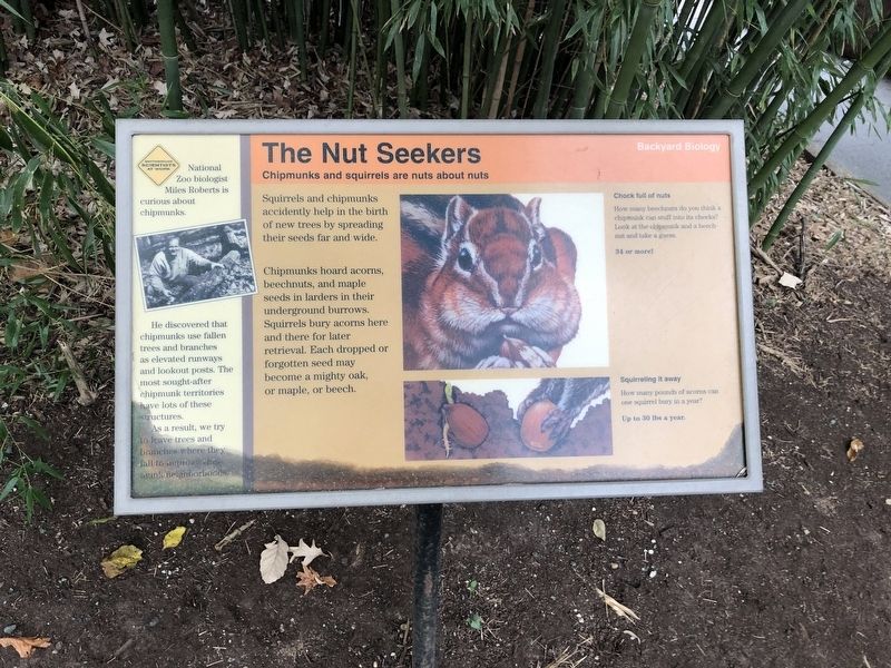 The Nut Seekers Marker image. Click for full size.