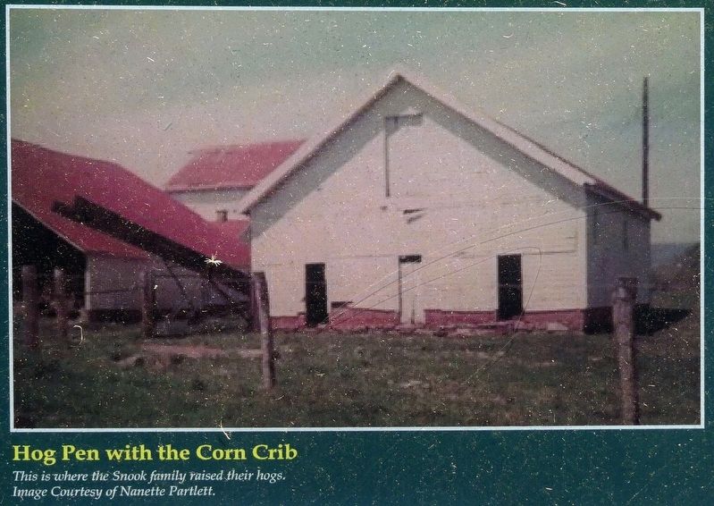 Hog Pen with the Corn Crib image. Click for full size.