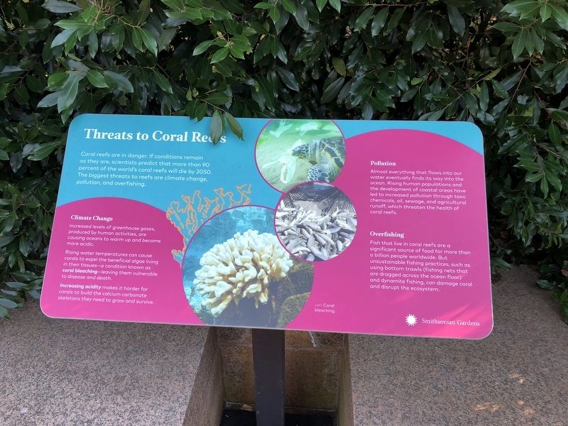 Threats to Coral Reefs Marker. Click for full size. Threats to Coral Reefs Marker image. Click for full size.