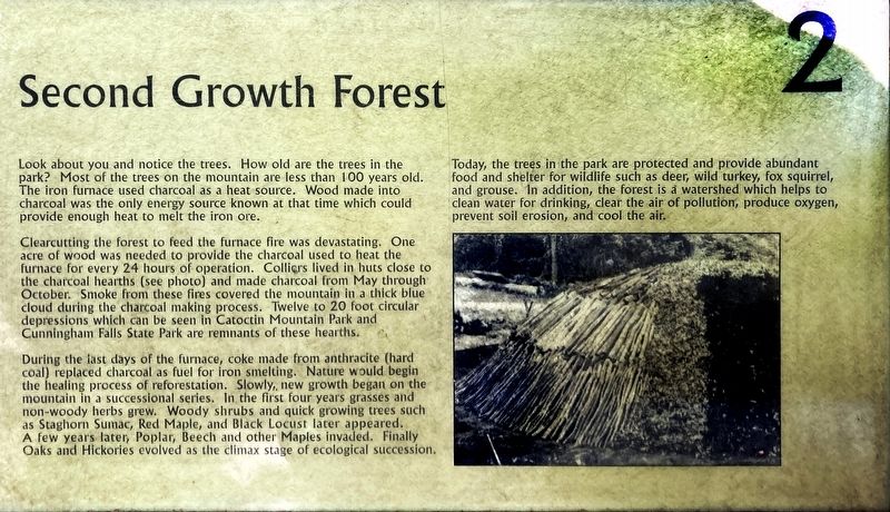 Second Growth Forest Marker image. Click for full size.