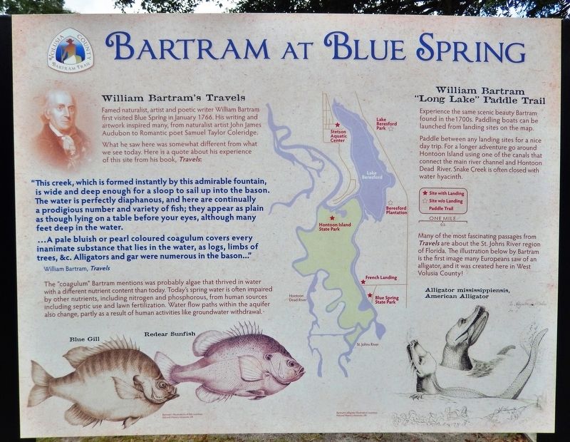 Bartram at Blue Spring Marker image. Click for full size.