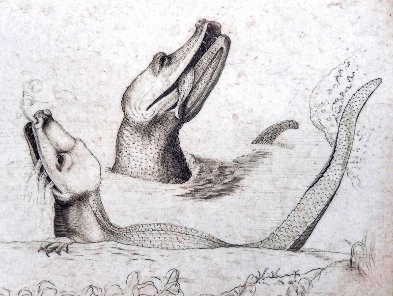 Marker detail: <i>Alligator mississippiensis</i>,<br>American Alligator. Click for full size. Marker detail: <i>Alligator mississippiensis</i>,<br>American Alligator image. Click for full size.