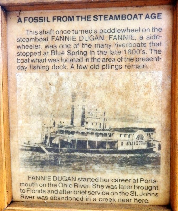 A Fossil from the Steamboat Age Marker image. Click for full size.