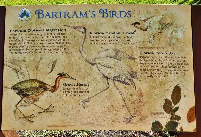 Bartram's Birds Marker image. Click for full size.