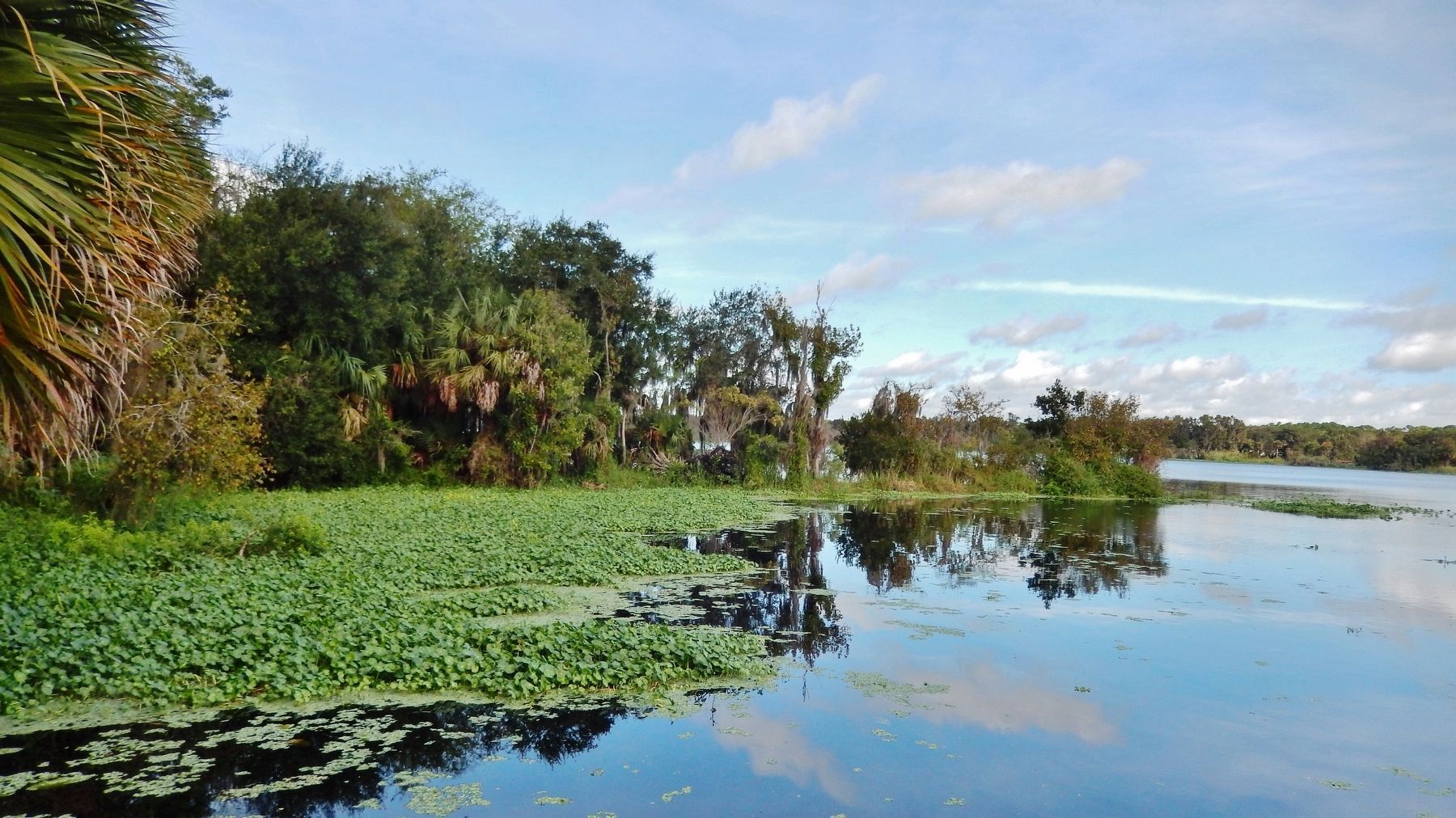 Lake Beresford image. Click for full size.
