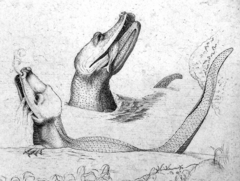 Marker detail: “Alegator of the St. Johns”<br>(<i>William Bartram’s drawing</i>) image. Click for full size.