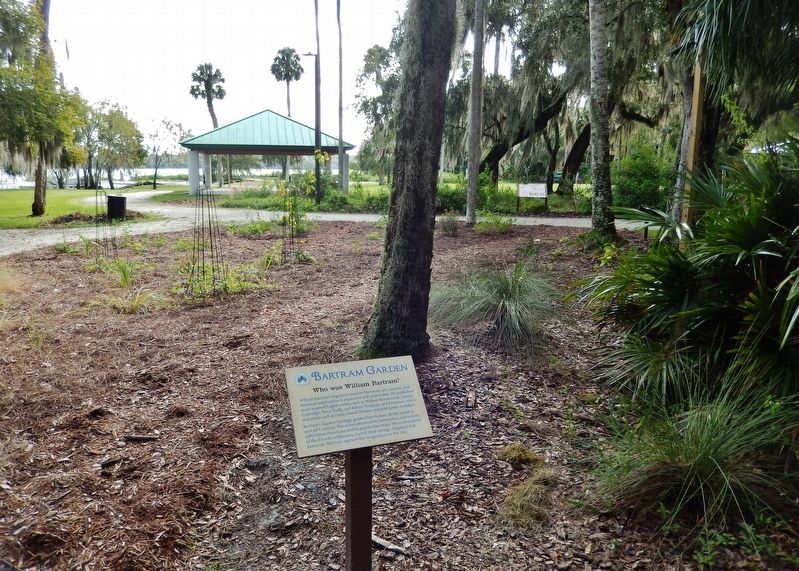 Who was William Bartram? Marker. Click for full size. Who was William Bartram? Marker image. Click for full size.