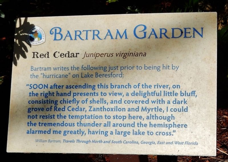 Red Cedar Marker. Click for full size. Red Cedar Marker image. Click for full size.